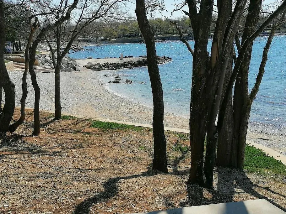 Only 250M From The Sea Apartment Funtana Croatia